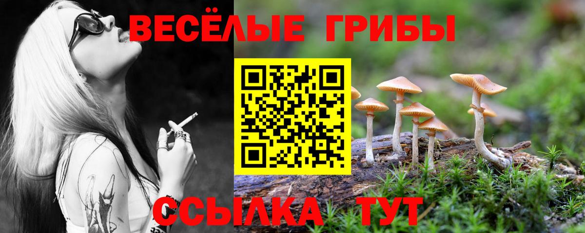 Галлюциногенные грибы ЛСД  Вход с VPN  Петрозаводск 